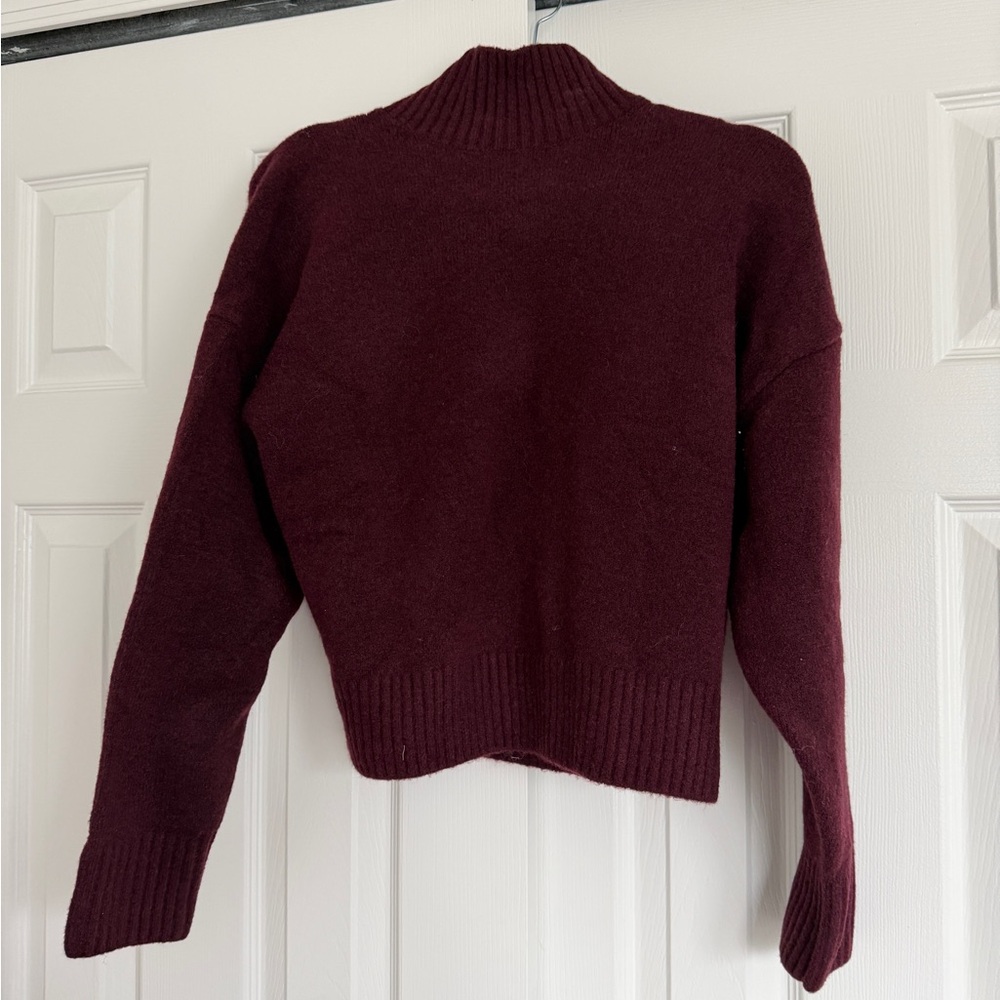 Zara Burgundy Cropped Turtleneck Sweater